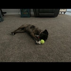 Meet your Posher, Lisa